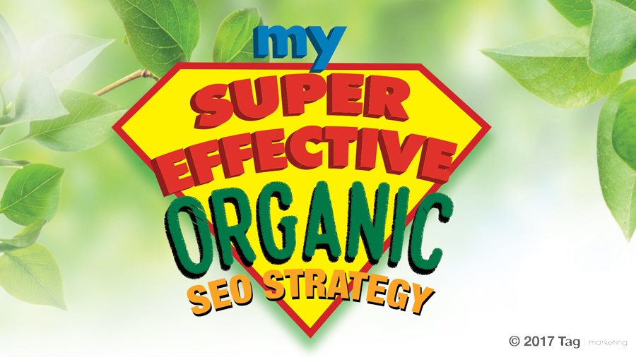 My Super Effective Organic SEO Techniques {Infographic}
