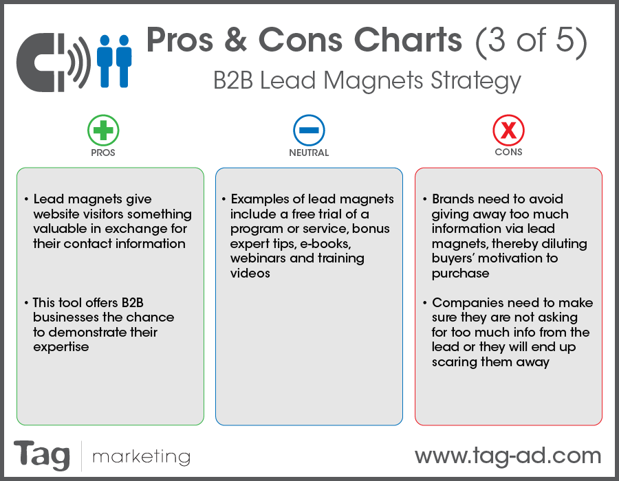 B2B lead magnet strategy Tag Marketing