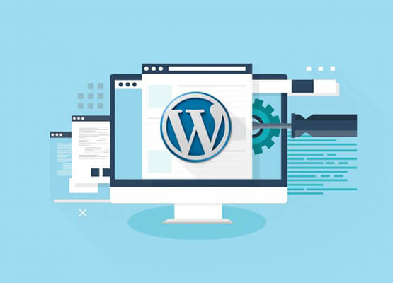 Expertly Designed WordPress Websites By Tag Marketing